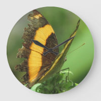Relógio de Borboletas Tropicais Amarelo e Preto