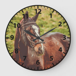 Grande Relógio de Cavalos Personalizáveis com Fotografi