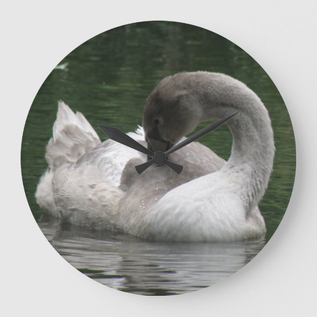 Grande Relógio de Cisne Sonolento (Frente)