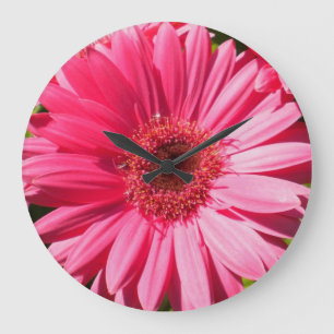 Grande Relógio de Muro de Gerbera Rosa