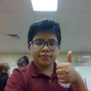 Grande Relógio de parede, quadro redondo de 10" com o ros