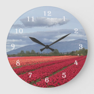Grande Relógio de Tulipas do Vale de Skagit Washington Ar