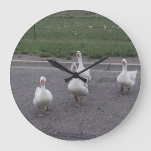 Grande Relógio Duck