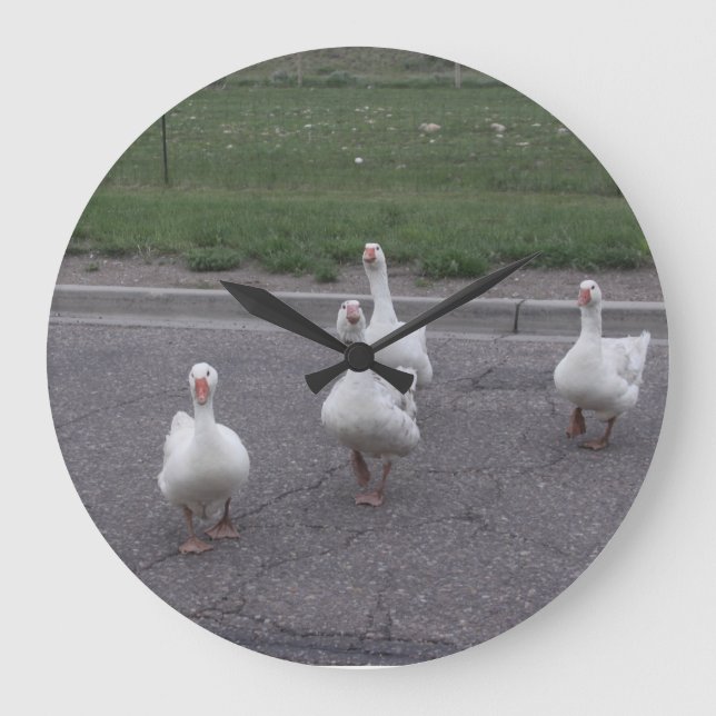Grande Relógio Duck (Frente)