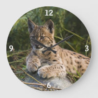 Relógio - lince