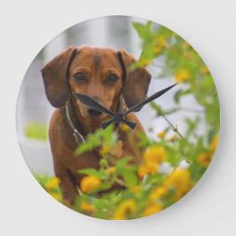 Grande Relógio Mini Vermelho Dachshund