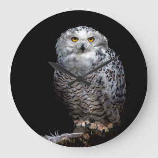 Grande Relógio Snowy Owl