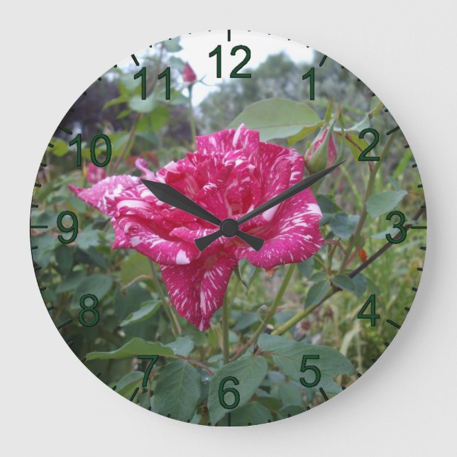 Grande Rosa, Relógio De Parede, Rosa Elegante E Branco (Frente)