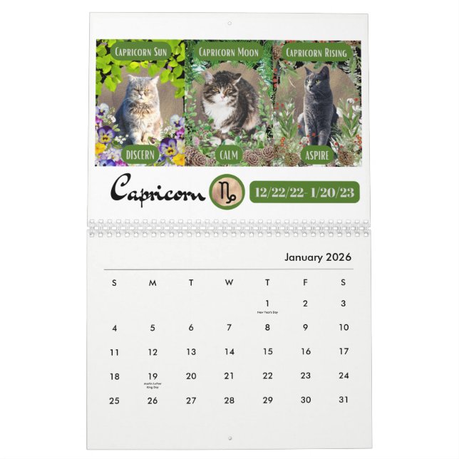 Grandes 3 Sinais como Gatos no Calendário do Jardi (Jan 2026)