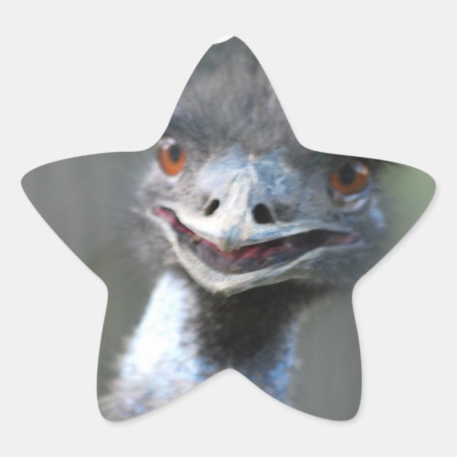 grandes adesivos Emu (Frente)