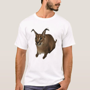 Grandes Camisetas Floppa