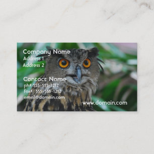 Grandes cartões de visitas da coruja