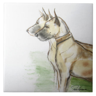 Grandes dinamarqueses