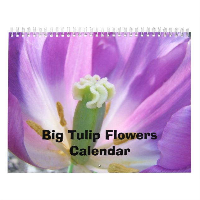 Grandes Flores de Tulipa Calendário Natureza Flora (Capa)