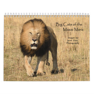 Grandes Gatos da Masai Mara, Calendário do Quêni