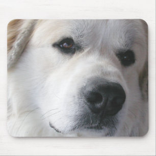 Grandes Pyrenees Mousepad