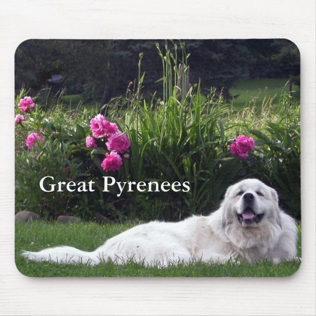 Grandes Pyrenees Mousepad (Frente)