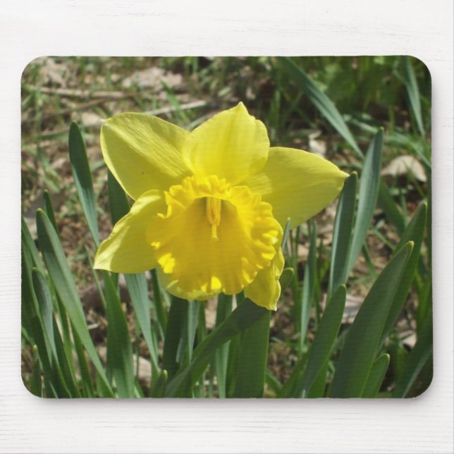 Grandparent's Bright Yellow Daffodil Mouse Pad (Frente)