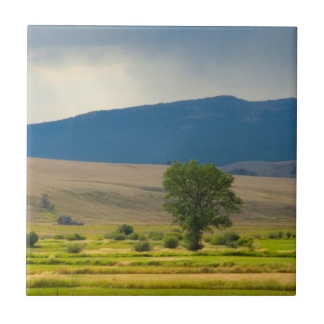 Granite County Montana (Frente)