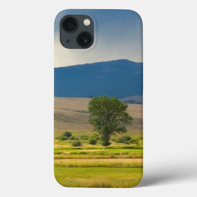 Granite County Montana (Verso)