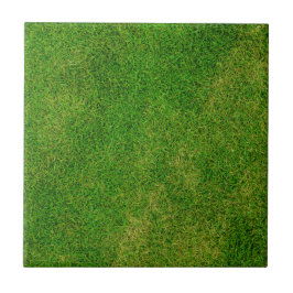 Grass Lawn