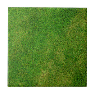 Grass Lawn
