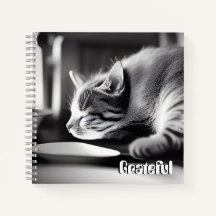 Grateful - Diário de Gratidão Calma para Cat