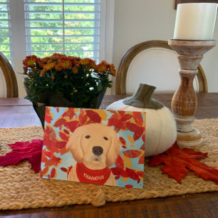 Gratidão - Caindo Na Minha Vida Cartão de Ação de 