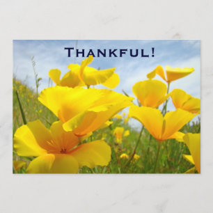 Grato! O costume dos convites oferece o almoço