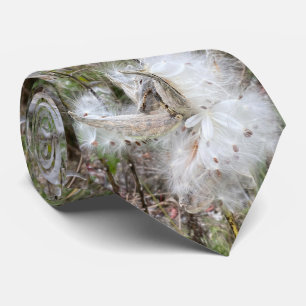 Gravata Abra Milkweed Pods   Sementes de Seda