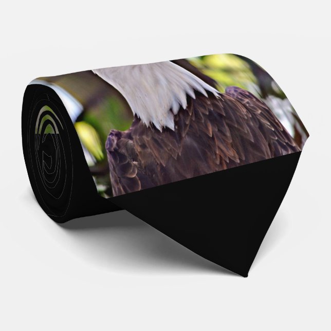 Gravata Águia americana (Rolled)