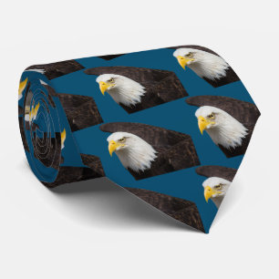 Gravata Águia-careca