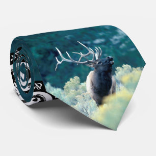 Gravata Alces da montanha rochosa