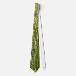 Gravata Algas verdes