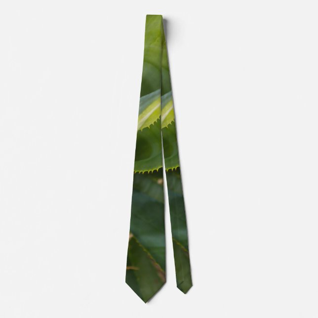 Gravata Aloe Vera Neck Tie (Frente)