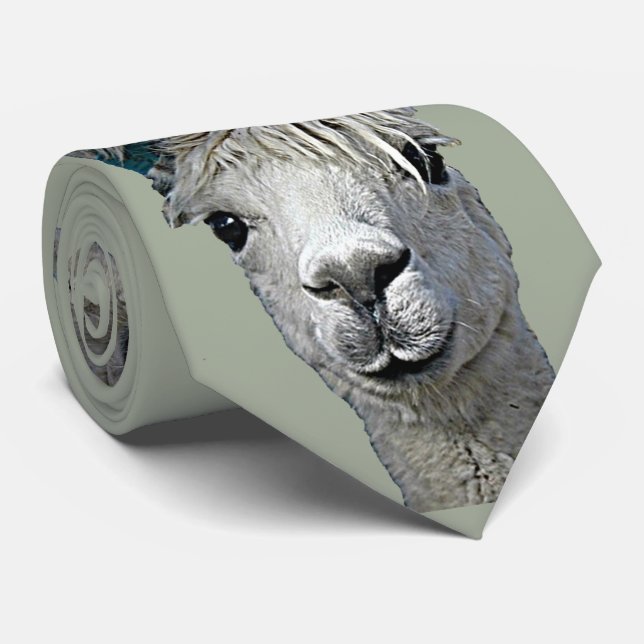 Gravata Alpaca adorável (Rolled)