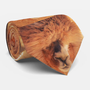 Gravata Alpaca bonita do lama