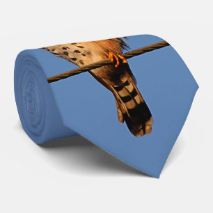 Gravata "American Kestrel on a Wire"