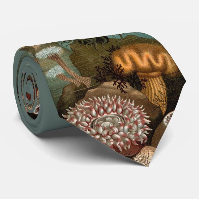 Gravata Anêmonas impressão do século XIX (Rolled)