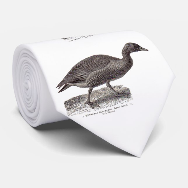 Gravata antigo ganso selvagem da impressão aviária alemã (Rolled)
