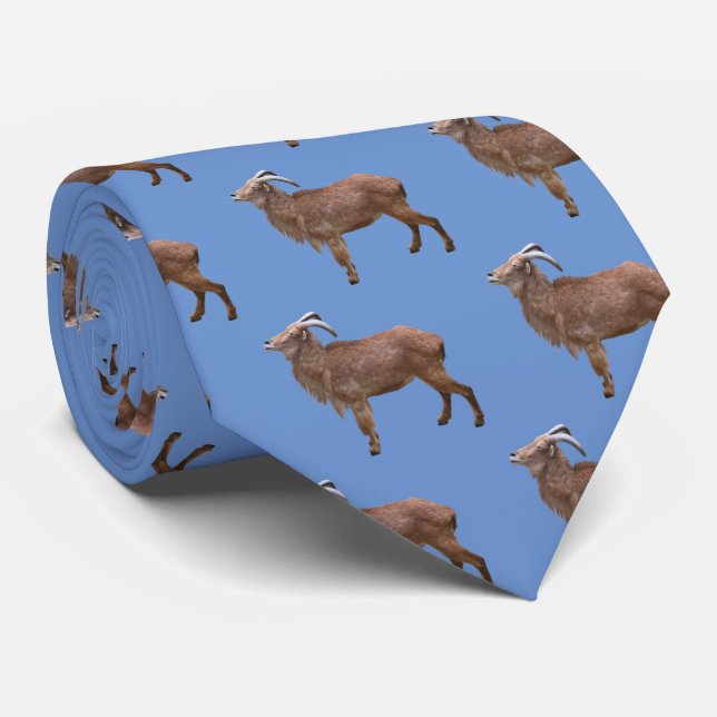 Gravata Aoudad (Rolled)
