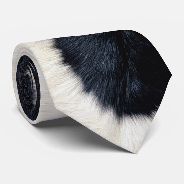 Gravata Aquela Vaca (Rolled)