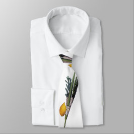 Gravata Arba Minim - Lulav, Esrog, Hadas, & Aravah