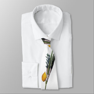 Gravata Arba Minim - Lulav, Esrog, Hadas, & Aravah