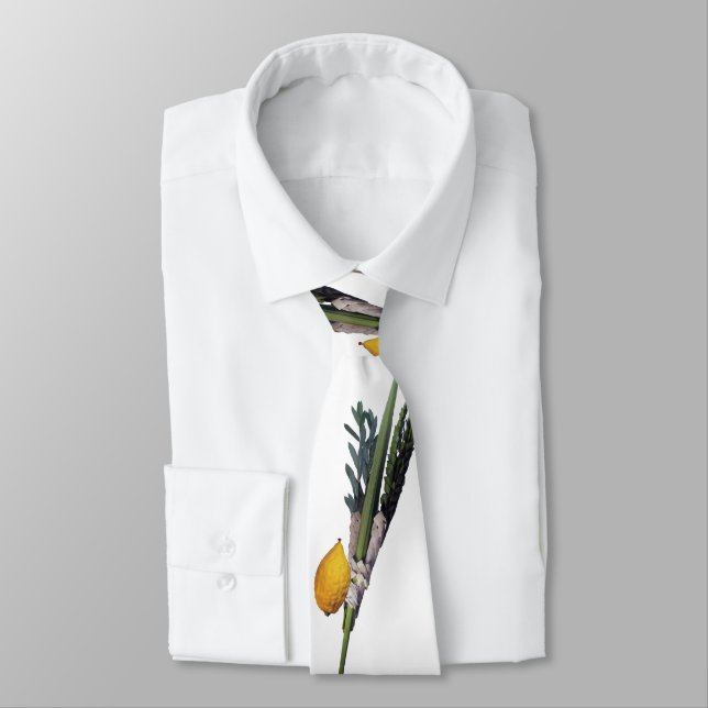 Gravata Arba Minim - Lulav, Esrog, Hadas, & Aravah (Amarrado)