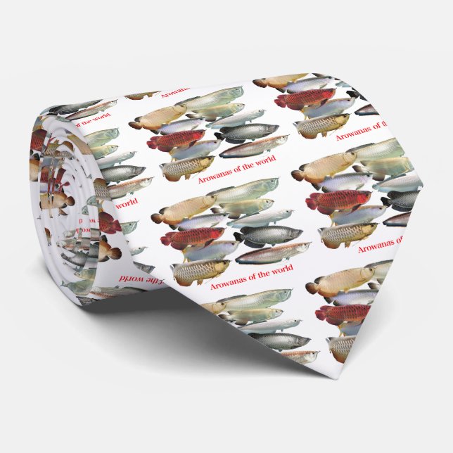 Gravata Arowanas do mundo (Rolled)