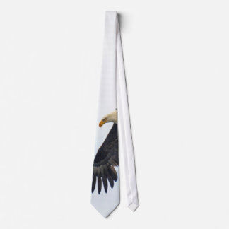 Gravata Arte Fotográfica Bald Eagle Wildife
