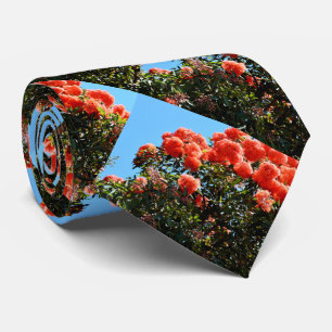 Gravata Árvore de Flor de Eucalipto Laranja, em floração,