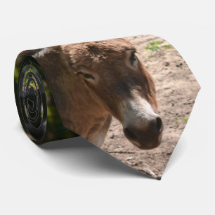 Gravata Asno Democrática