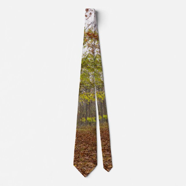Gravata Autumn Bliss (Frente)